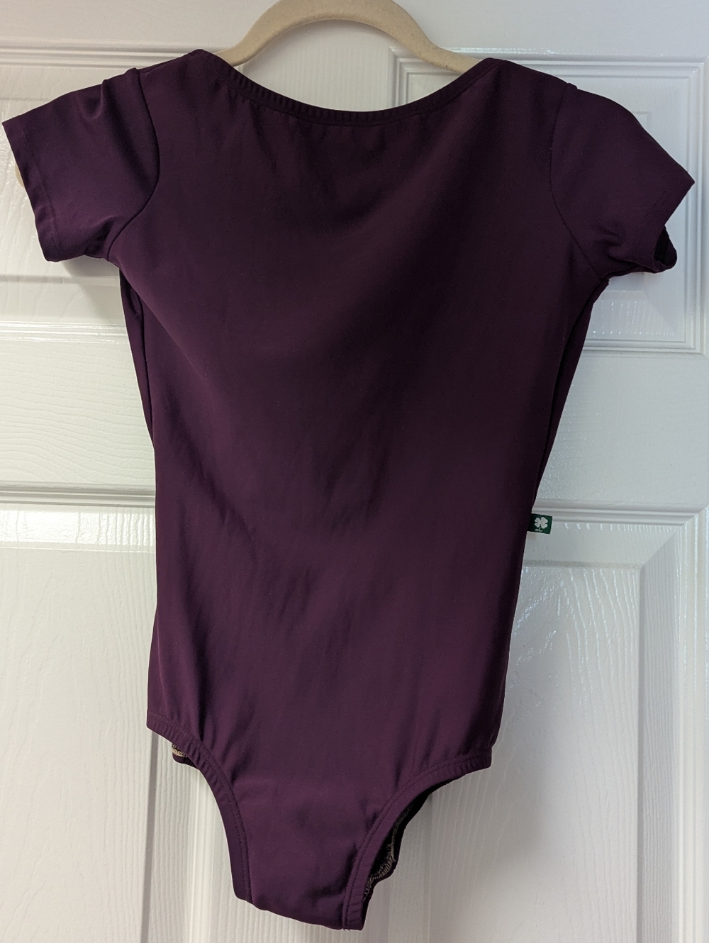 Luckyleo Leotard fits Medium high neck low back